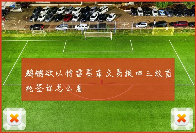 鹈鹕欲以特雷墨菲交易换回三枚首轮签你怎么看